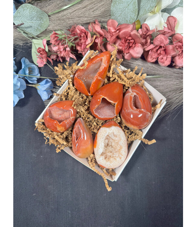 Small Carnelian Egg Bulk Lot #9