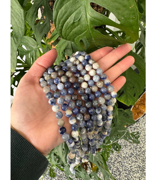 Sodalite Beads Polished 15" Strand 6mm 8mm 10mm