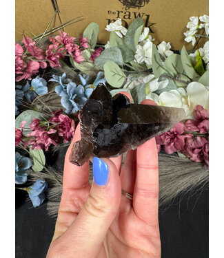 Smoky Quartz Cluster #294, 72gr
