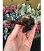 Smoky Quartz Cluster #296, 132gr