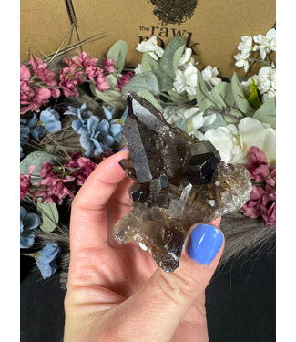 Smoky Quartz Cluster #309, 122gr