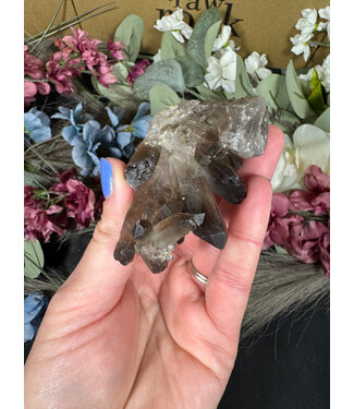 Smoky Quartz Cluster #313, 82gr
