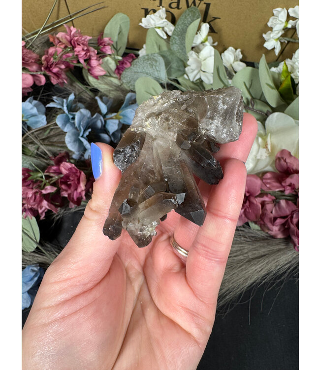 Smoky Quartz Cluster #313, 82gr