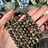 Dragon Blood Jasper