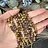 Gold Tiger Eye