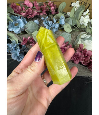 Lemon Jade Point, Size X-Large [100-124gr]