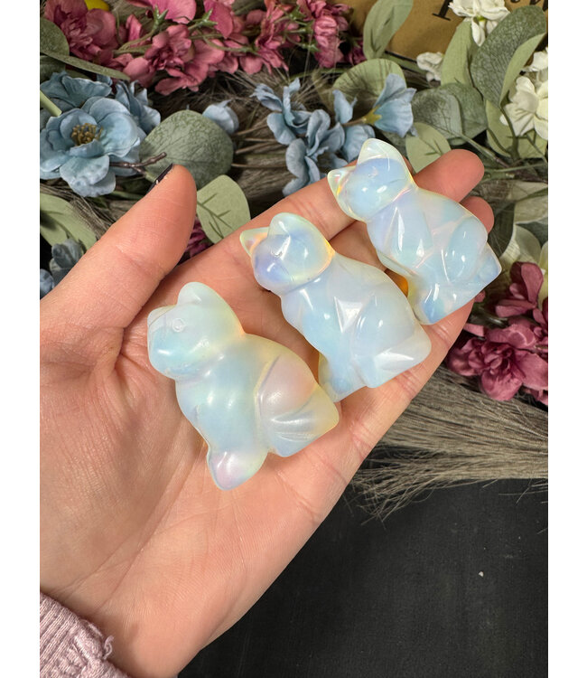 2" Cat Carving, 12 Types