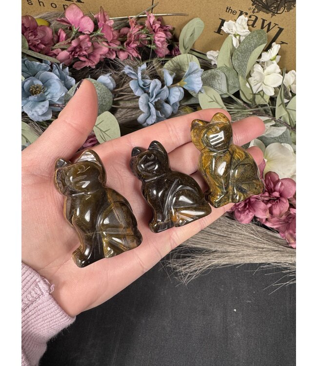 2" Cat Carving, 12 Types