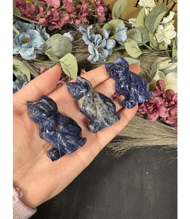 2" Cat Carving, 12 Types