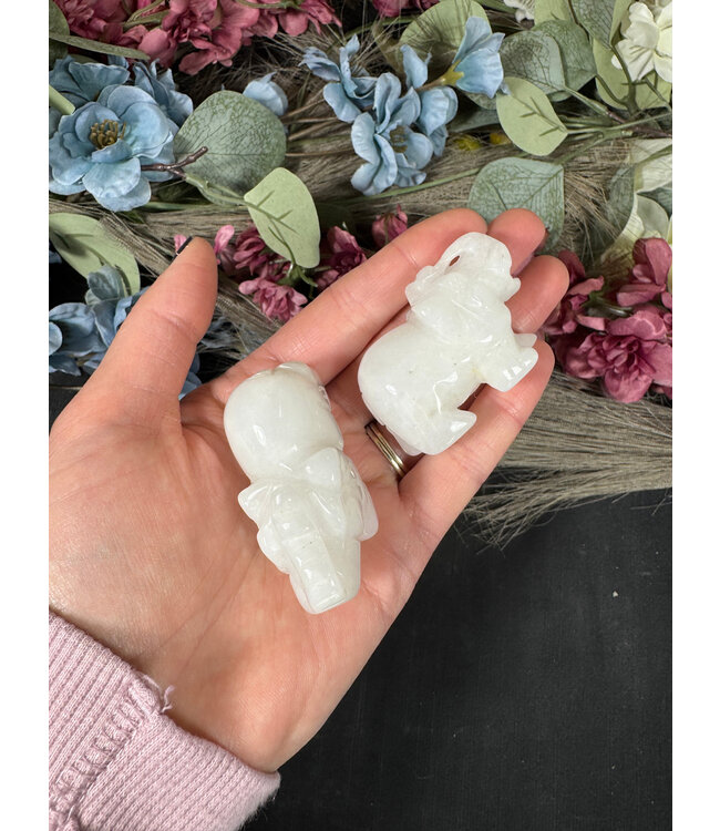 2" Elephant Carving, 24 Types