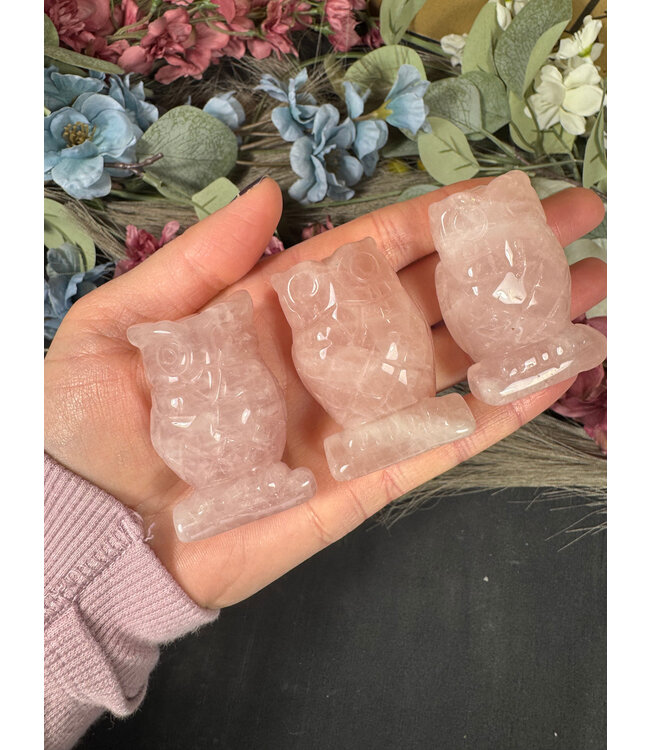 2" Owl Carving, 11 Types