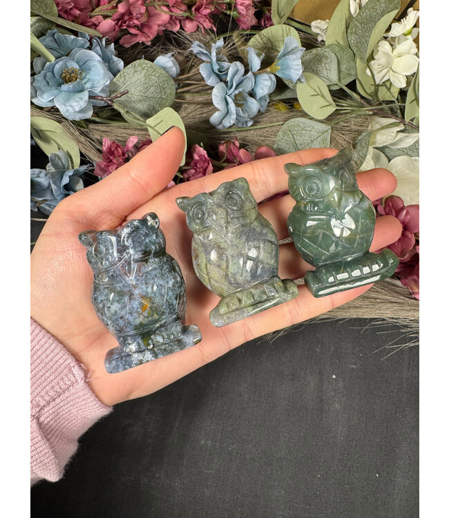 2" Owl Carving, 11 Types