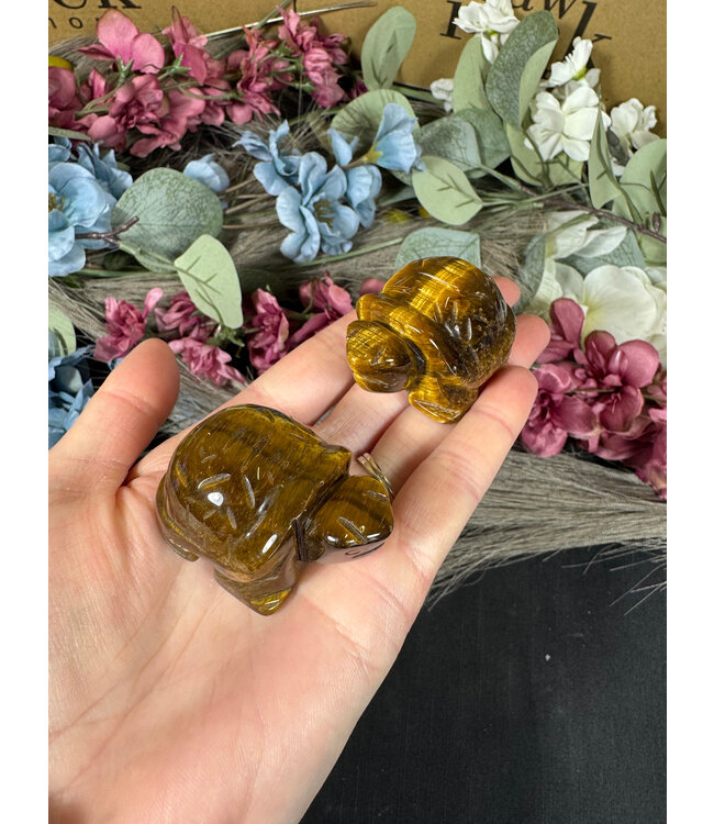 2" Turtle Carving, 11 Types