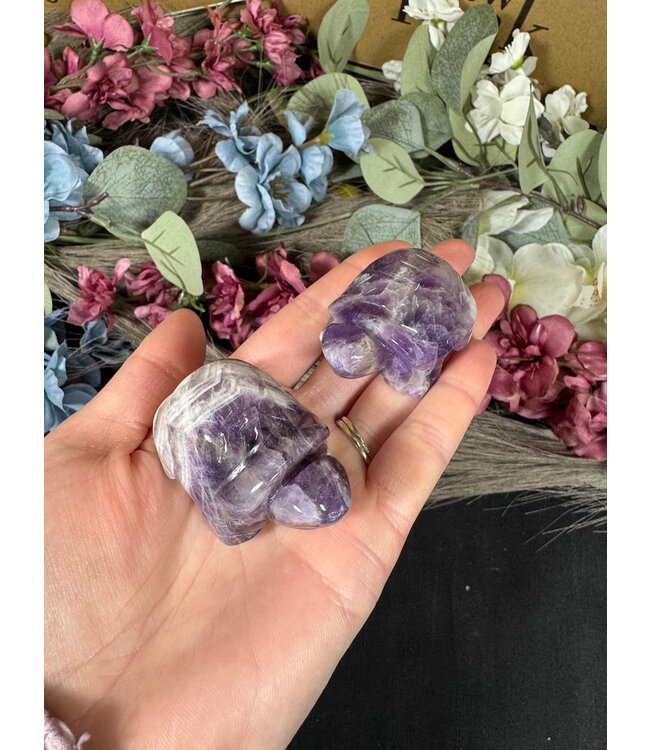 2" Turtle Carving, 11 Types