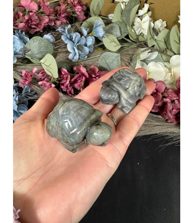 2" Turtle Carving, 11 Types