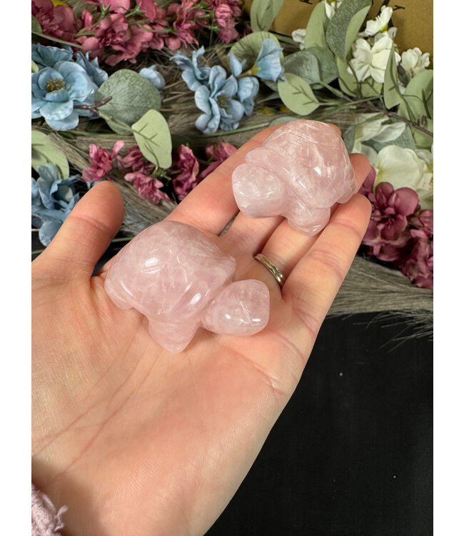 2" Turtle Carving, 11 Types