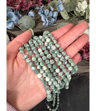 Green Spot Jasper Beads Frosted/Matte 15" Strand 6mm 8mm