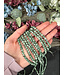 Green Spot Jasper Beads Polished 15" Strand 6mm 8mm