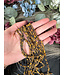 Tiger Eye Beads Frosted/Matte 15" Strand 4mm 6mm 8mm