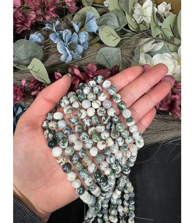 Tree Agate Beads Polished 15" Strand 4mm 6mm 8mm