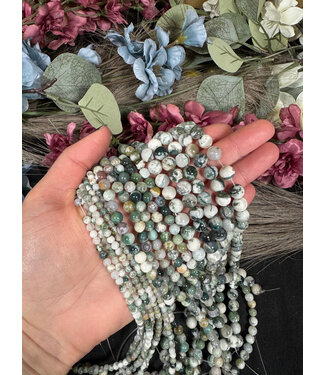 Tree Agate Beads Polished 15" Strand 4mm 6mm 8mm