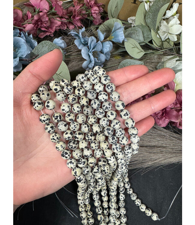 Dalmatian Jasper Beads Polished 15" Strand 6mm 8mm