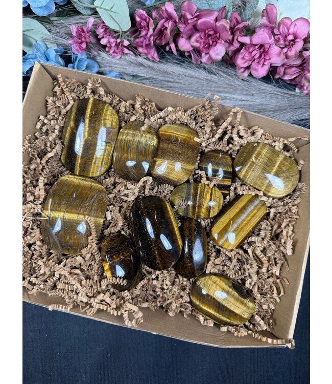 Tiger Eye Palms 1KG bulk lot