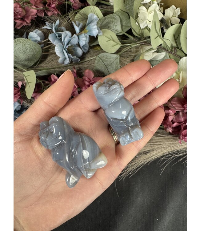 2" Cat Carving, 12 Types