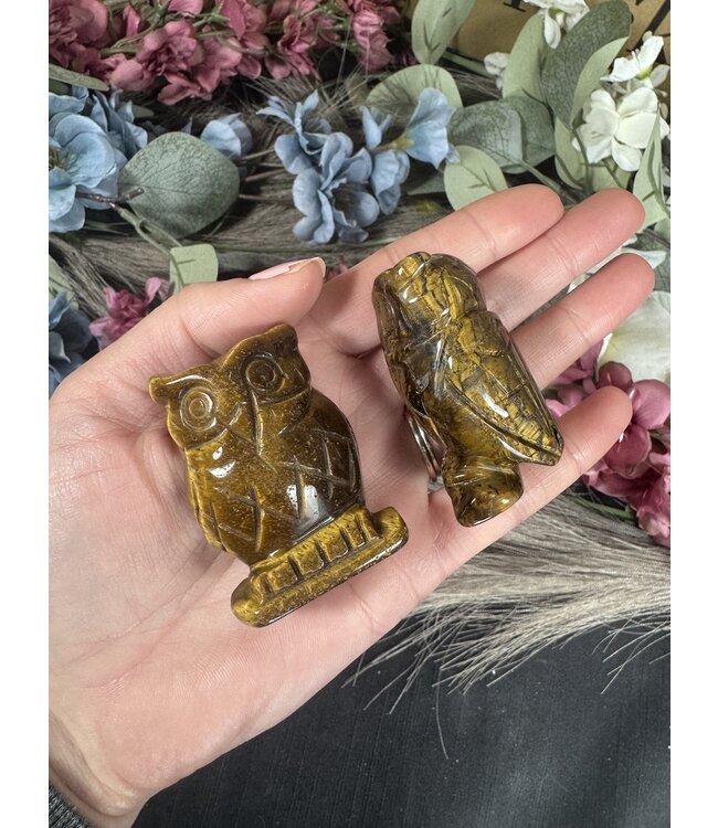 2" Owl Carving, 11 Types