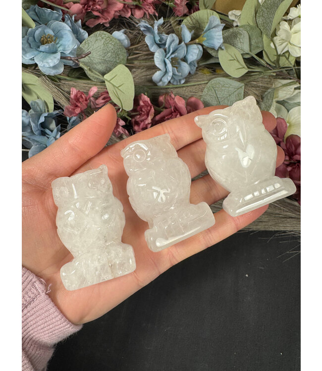 2" Owl Carving, 11 Types