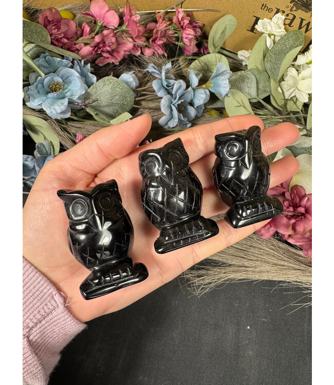 2" Owl Carving, 11 Types