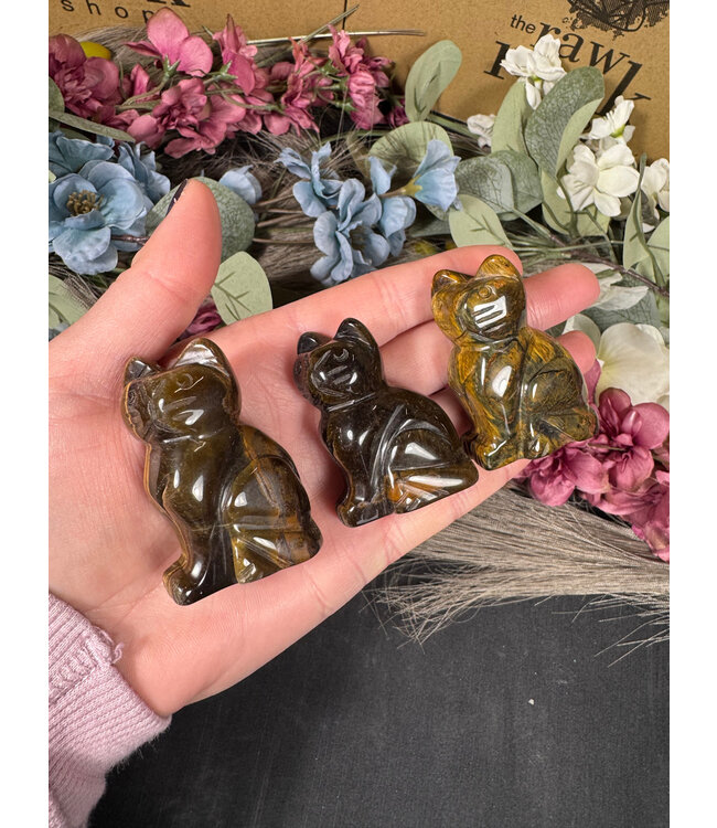 2" Cat Carving, 12 Types