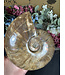 Whole Ammonite #27, 1102gr