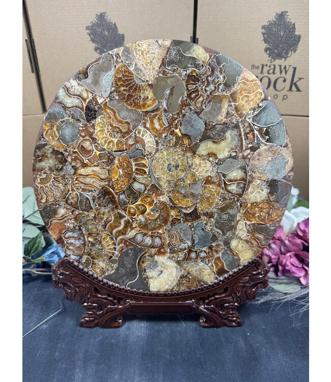 Ammonite Plate with Stand #8, 868gr
