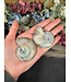 Ammonite Pair #40, 106gr