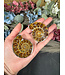 Ammonite Pair #40, 106gr