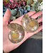 Ammonite Pair #41, 66gr