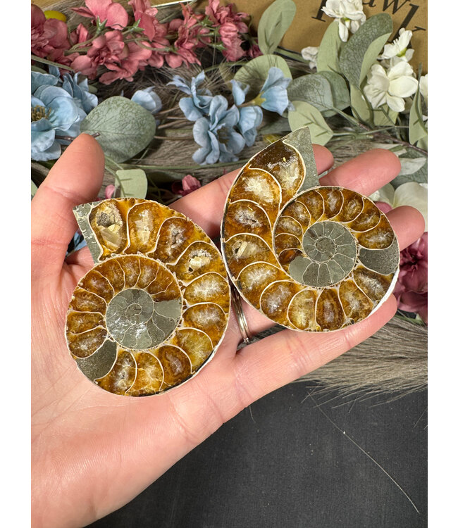 Ammonite Pair #43, 106gr