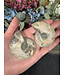 Ammonite Pair #43, 106gr