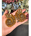 Ammonite Pair #45, 80gr