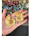 Ammonite Pair #48, 62gr