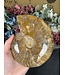 Whole Ammonite #20, 1102gr