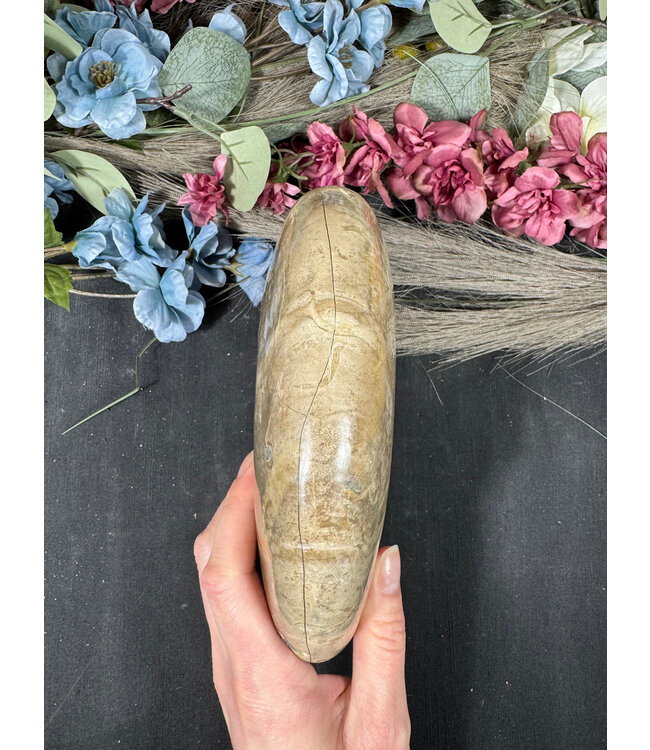 Whole Ammonite #23, 1488gr