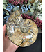 Whole Ammonite #26, 1268gr