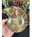 Whole Ammonite #27, 1102gr
