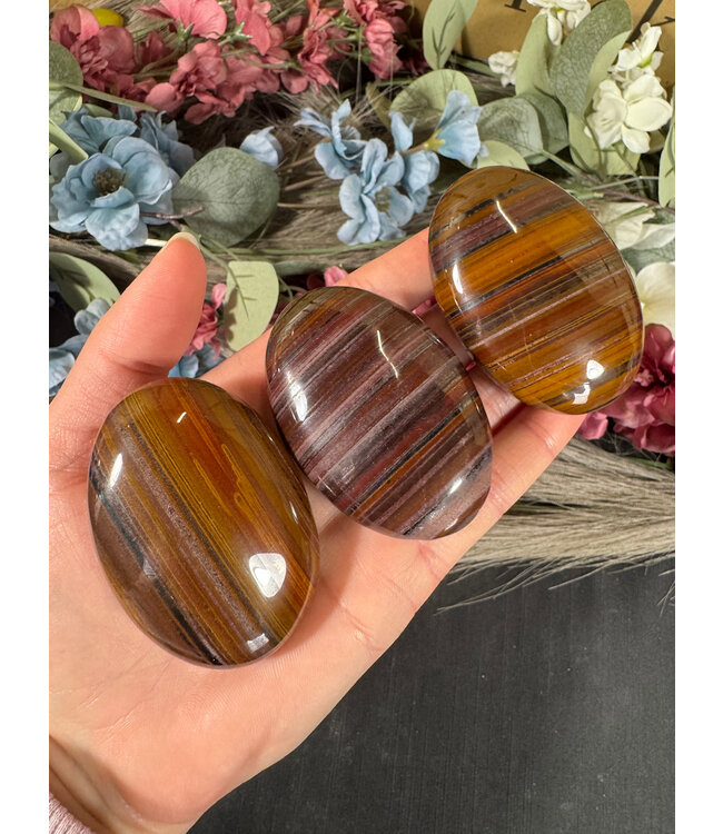 Tiger Iron Palm Stone, Size Medium [100-124gr]