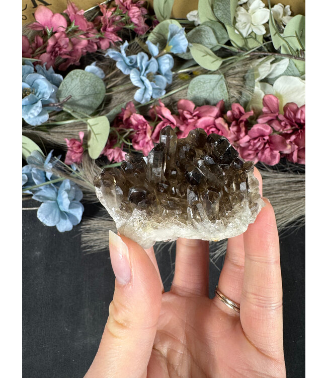 Smoky Quartz Cluster #333, 84gr