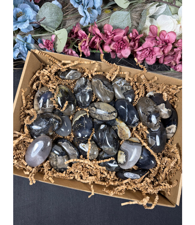 Fluorescent Agate Palms High Glow 1KG bulk lot