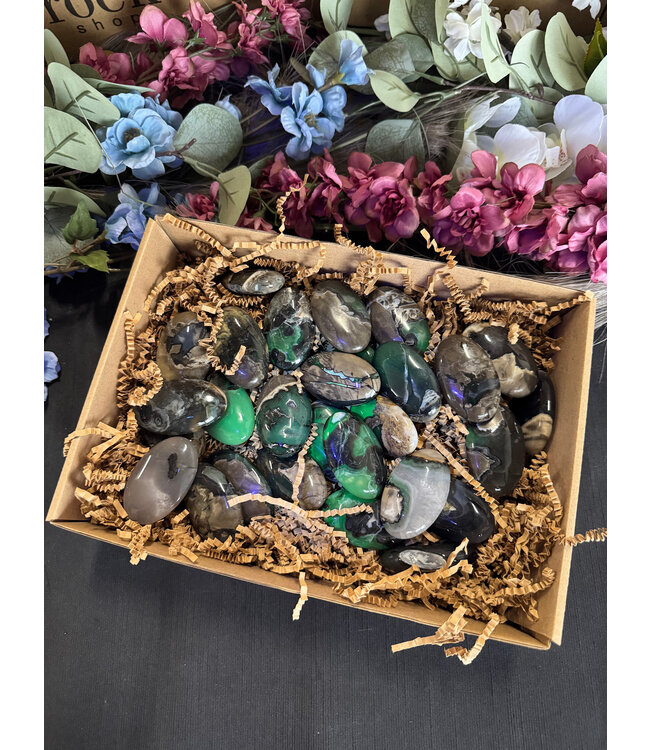 Fluorescent Agate Palms High Glow 1KG bulk lot