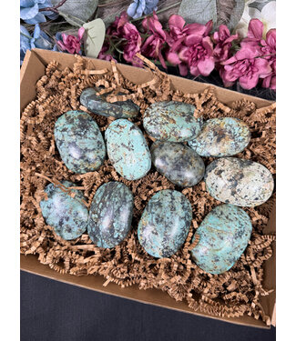 African Turquoise Palms 1KG bulk lot
